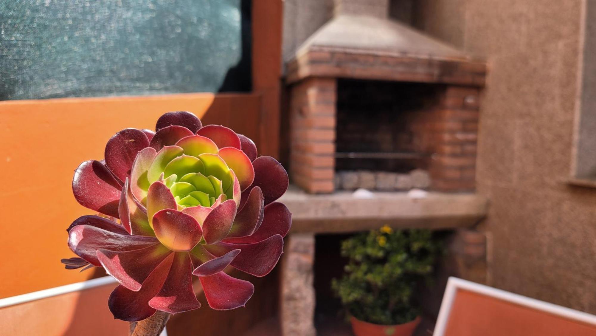 Casa áfrica Y Ramona *
